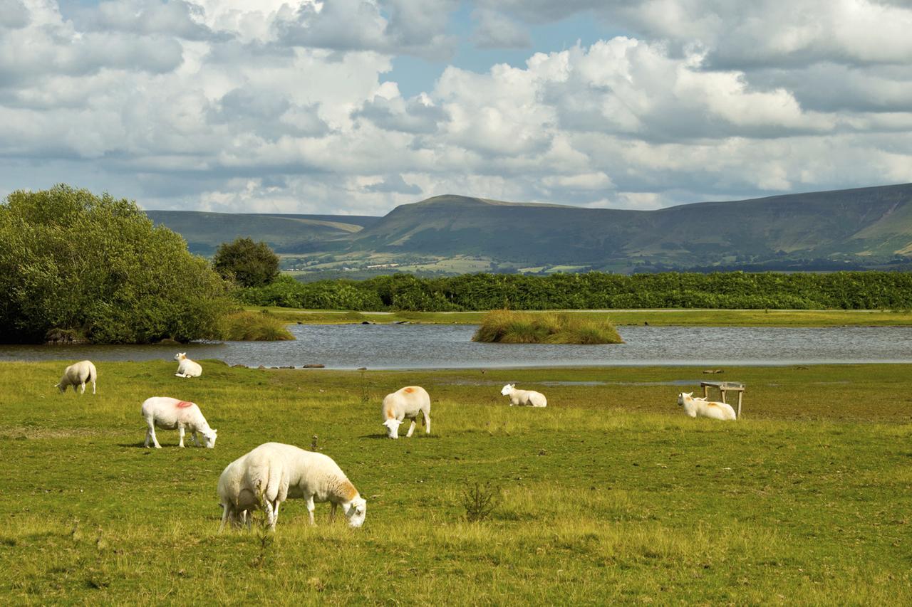 Brynderwen Llangorse Exterior foto